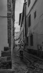  lucca